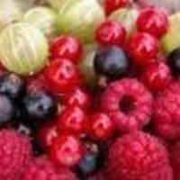 Click for larger view