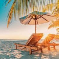 Click for larger view